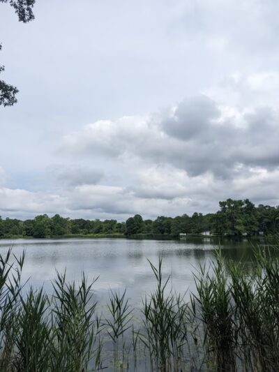 Lake Windwing - Ridgefield, CT