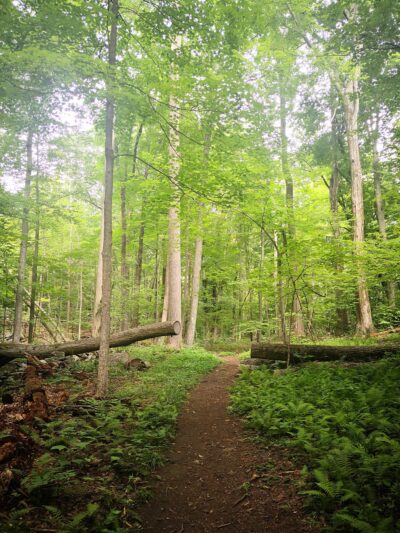 Lake Windwing - Ridgefield, CT