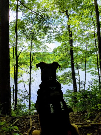 Lake Windwing - Ridgefield, CT