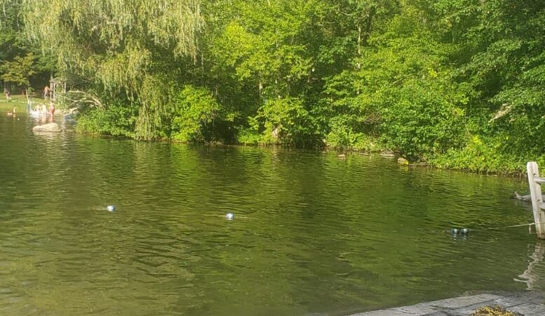 Martin Park Beach - Ridgefield, CT