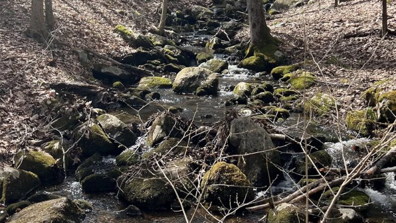 Pine Mountain Trail Head - Ridgefield, CT