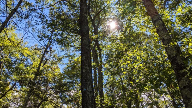 Pine Mountain Trail Head - Ridgefield, CT