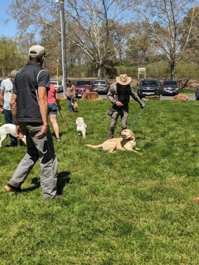 Ridley K9 Academy LLC - ,