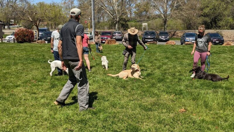 Ridley K9 Academy LLC - ,