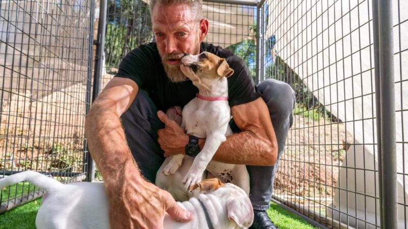 Ridley K9 Academy LLC - ,