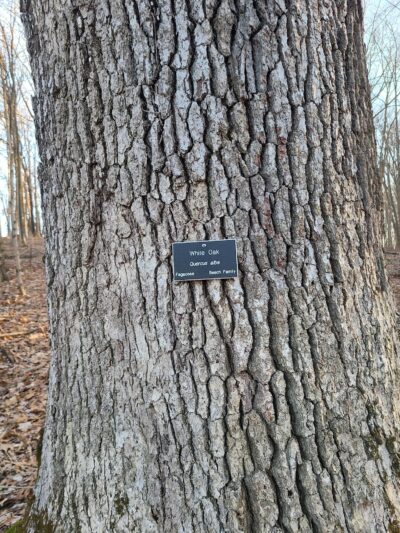 Heritage Conservancy Fuller Preserve Jere Knight Nature Trail - Riegelsville, PA