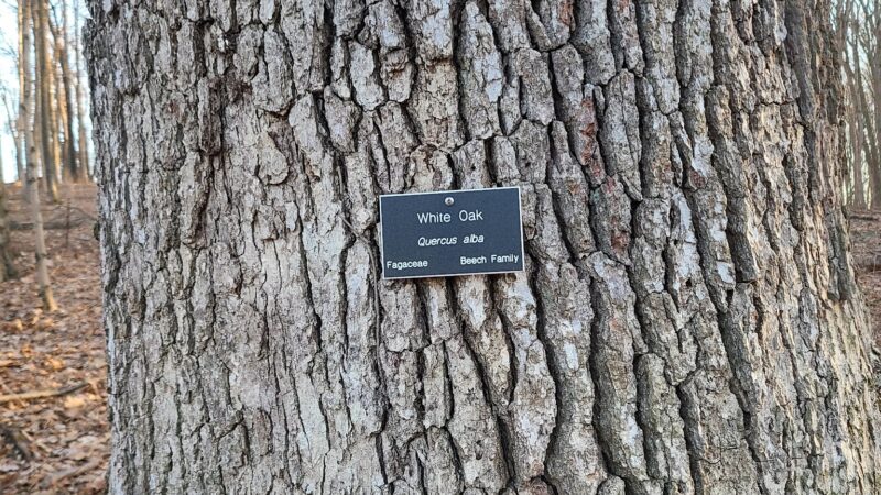 Heritage Conservancy Fuller Preserve Jere Knight Nature Trail - Riegelsville, PA