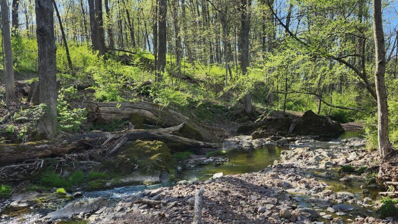 Heritage Conservancy Fuller Preserve Jere Knight Nature Trail - Riegelsville, PA