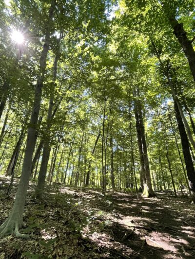 Heritage Conservancy Fuller Preserve Jere Knight Nature Trail - Riegelsville, PA