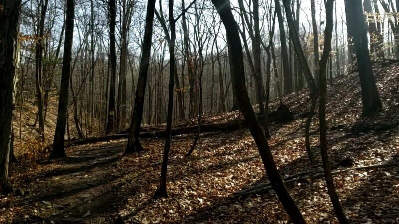 Heritage Conservancy Fuller Preserve Jere Knight Nature Trail - Riegelsville, PA