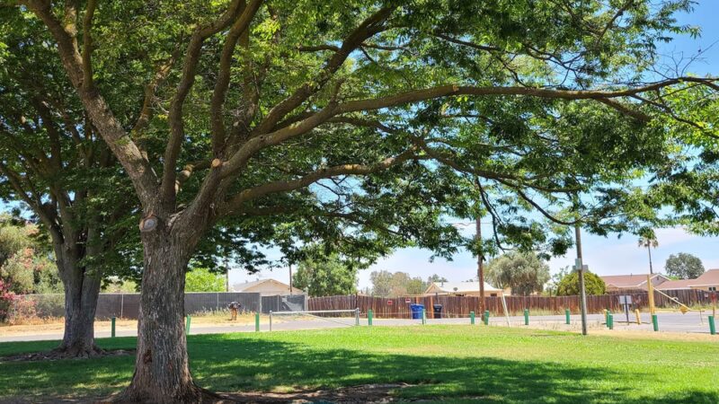 Babe Best Park - Rio Linda, CA