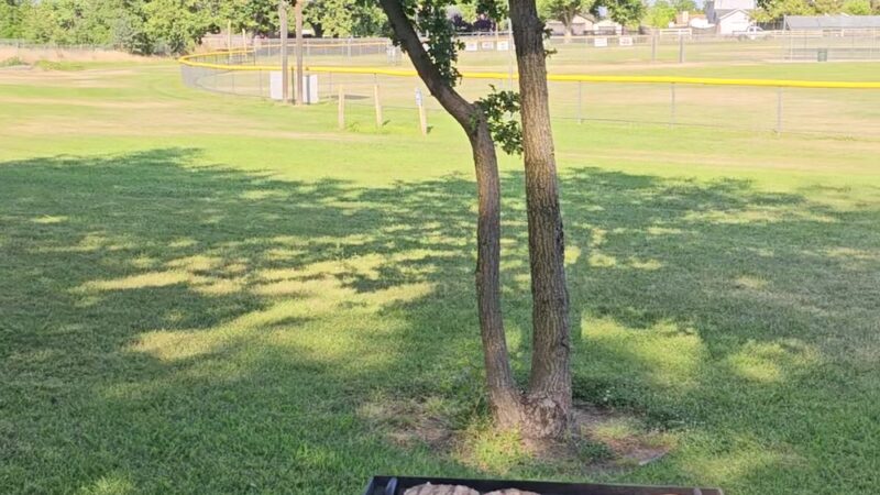 Babe Best Park - Rio Linda, CA
