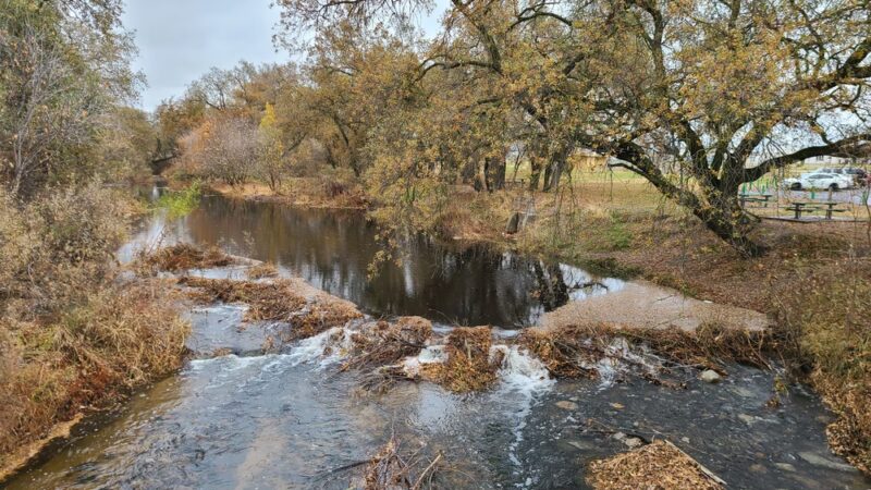 Rio Linda Central Park - Rio Linda, CA
