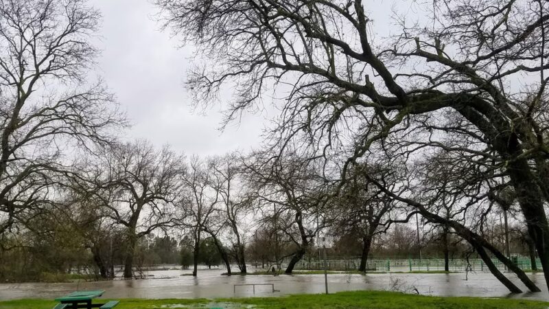 Rio Linda Central Park - Rio Linda, CA
