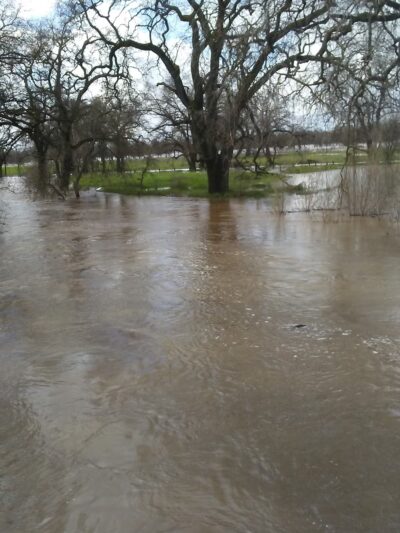 Roy Hayer Park - Rio Linda, CA