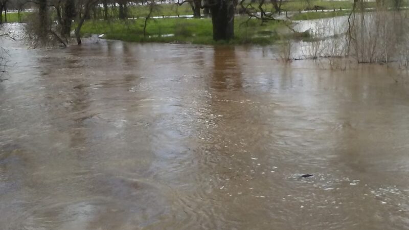 Roy Hayer Park - Rio Linda, CA