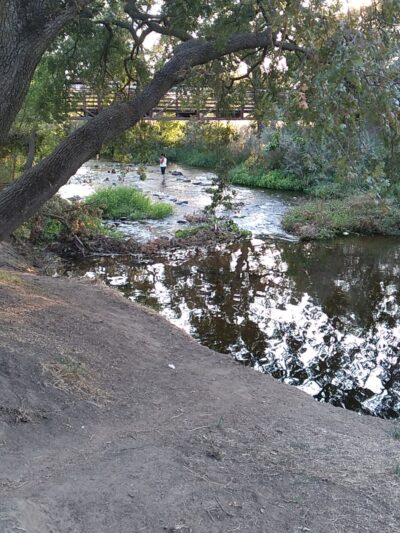 Roy Hayer Park - Rio Linda, CA