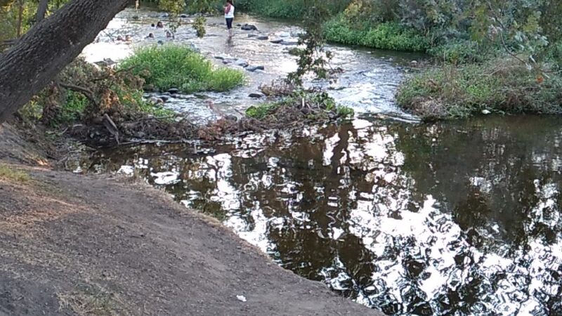 Roy Hayer Park - Rio Linda, CA