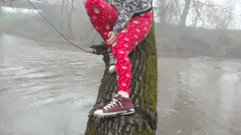 Roy Hayer Park - Rio Linda, CA