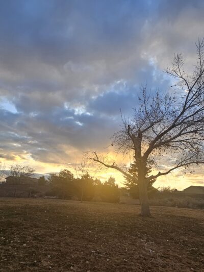 Nicklaus Park - Rio Rancho, NM