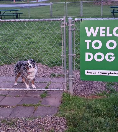 Dog Park at Love's Travel Stops - Ripley, WV