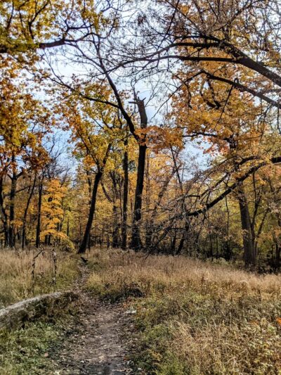 G.A.R. Woods - River Forest, IL