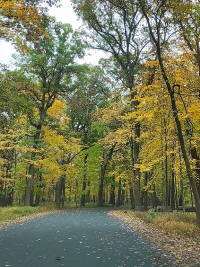 Thatcher Woods - Picnic Grove #1 - River Forest, IL