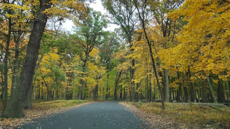 Thatcher Woods - Picnic Grove #1 - River Forest, IL