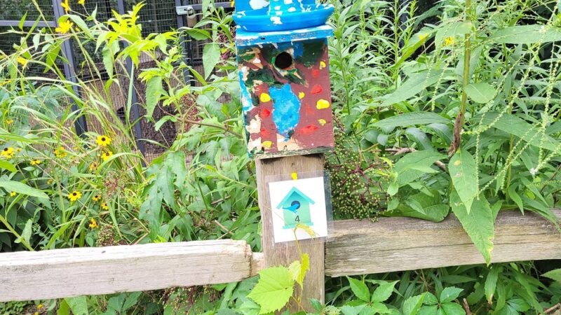 Thatcher Woods - Picnic Grove #1 - River Forest, IL