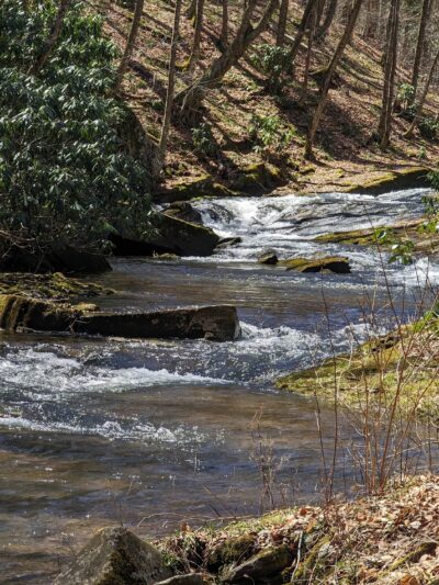 Huckleberry Trail - Riverton, WV