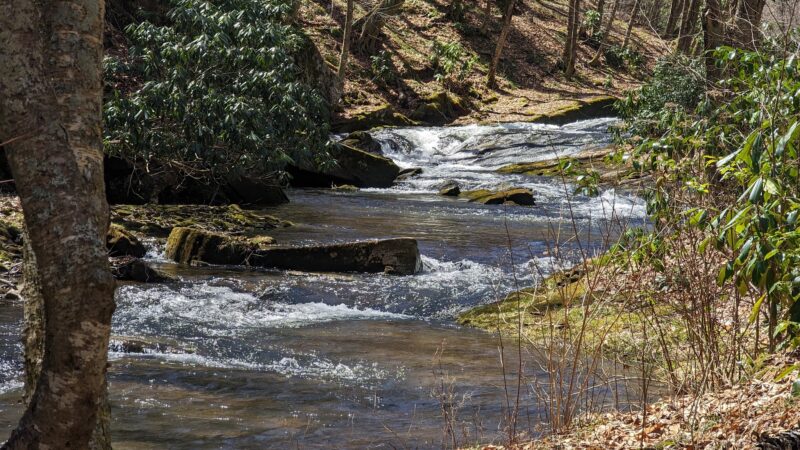 Huckleberry Trail - Riverton, WV