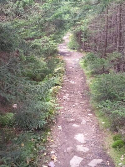 Huckleberry Trail - Riverton, WV