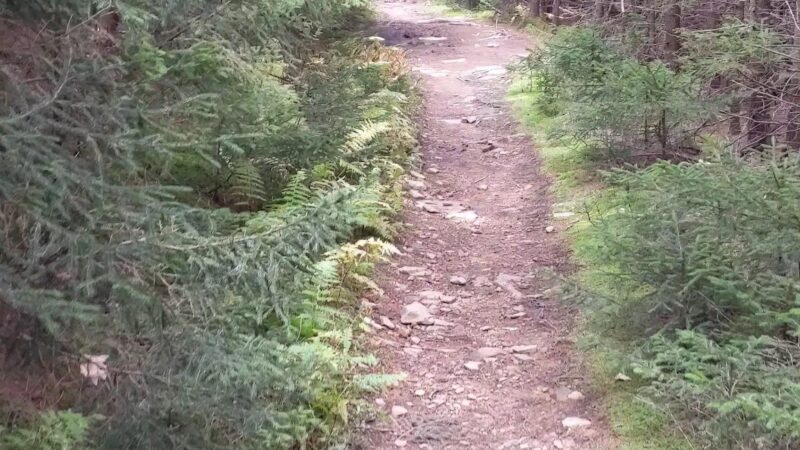 Huckleberry Trail - Riverton, WV