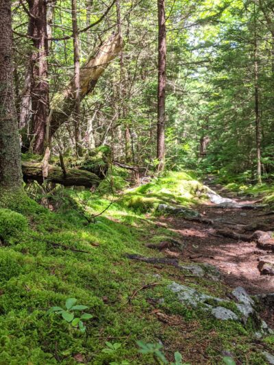 Huckleberry Trail - Riverton, WV
