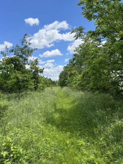 Big Walnut Nature Preserve - Rayfield Trail - Roachdale, IN