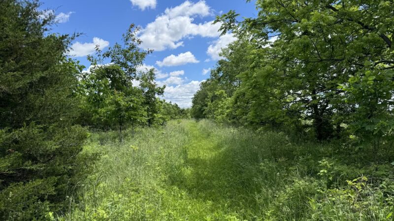 Big Walnut Nature Preserve - Rayfield Trail - Roachdale, IN