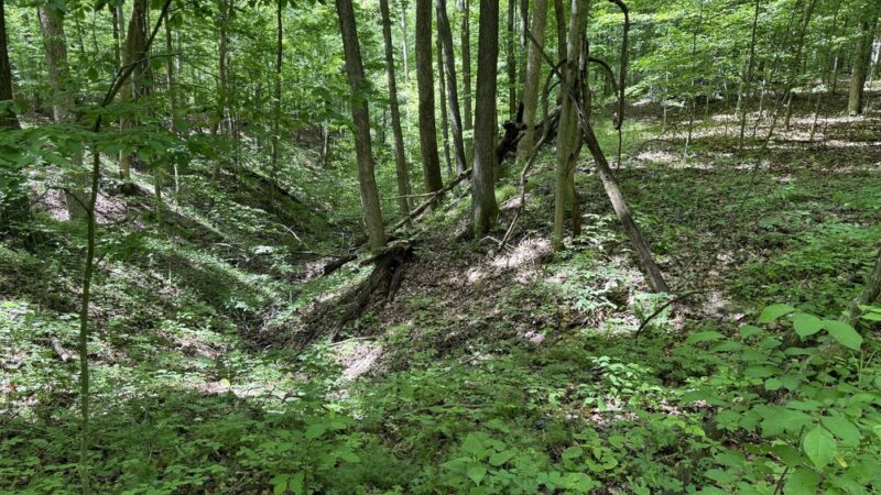 Big Walnut Nature Preserve - Rayfield Trail - Roachdale, IN