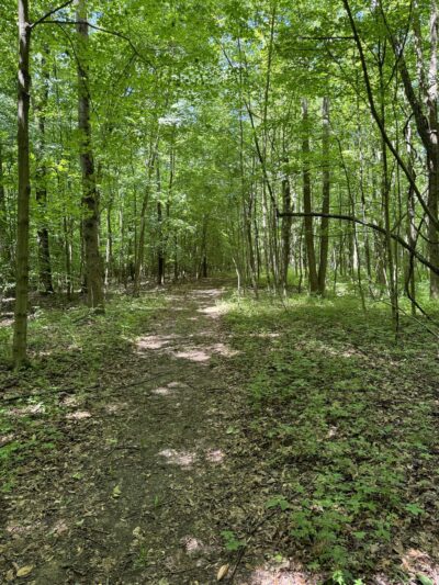 Big Walnut Nature Preserve - Rayfield Trail - Roachdale, IN