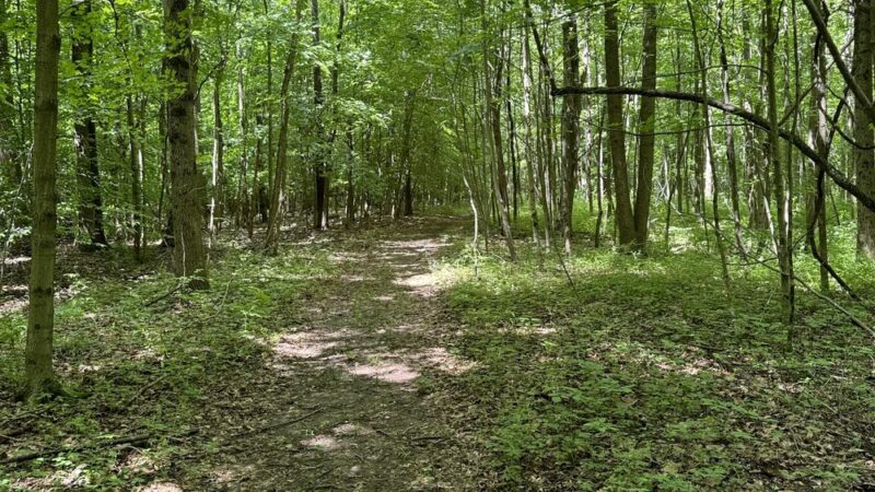 Big Walnut Nature Preserve - Rayfield Trail - Roachdale, IN