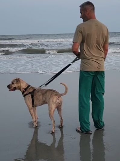 T&D Forever Home Training at The Dog Lounge - Roachdale, IN