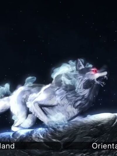 T&D Forever Home Training at The Dog Lounge - Roachdale, IN