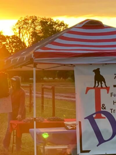 T&D Forever Home Training at The Dog Lounge - Roachdale, IN