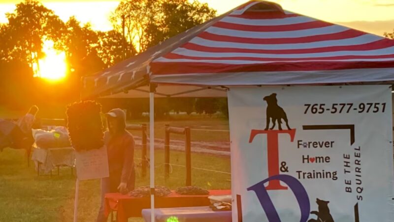 T&D Forever Home Training at The Dog Lounge - Roachdale, IN