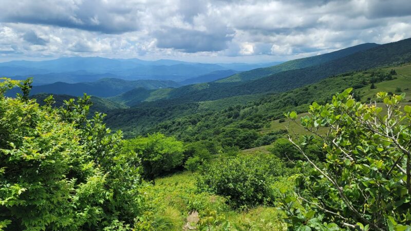 Roan Mountain State Park - Roan Mountain, TN