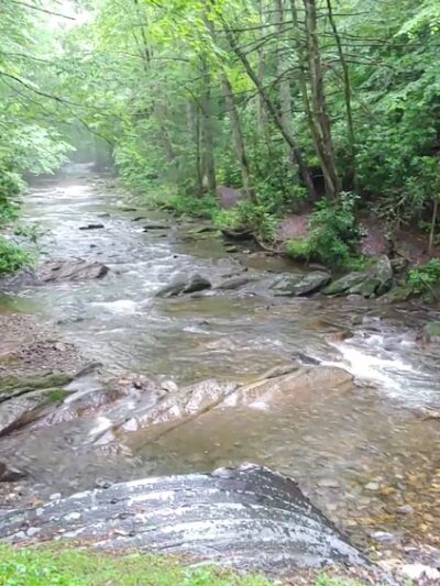 Roan Mountain State Park - Roan Mountain, TN