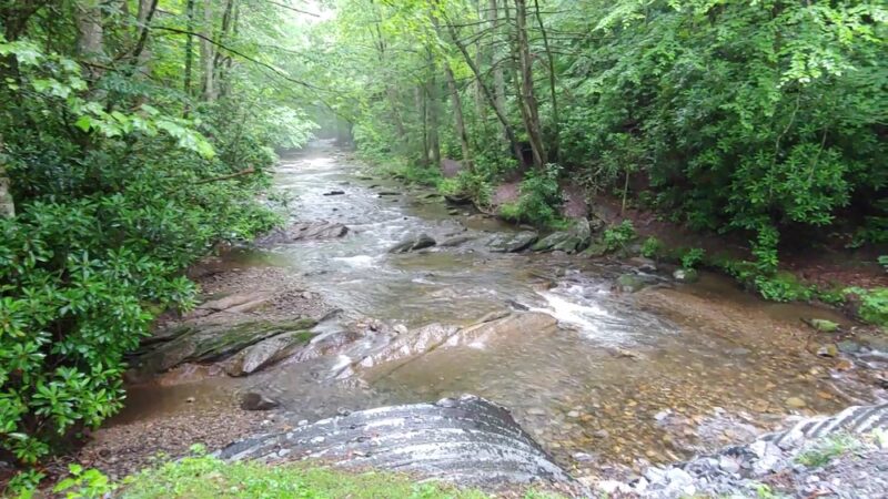 Roan Mountain State Park - Roan Mountain, TN