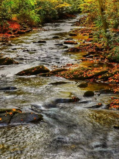 Roan Mountain State Park - Roan Mountain, TN