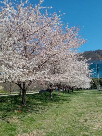 Roanoke Greenway (Rivers Edge South) - Roanoke, VA