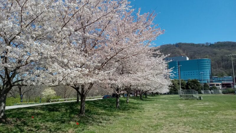 Roanoke Greenway (Rivers Edge South) - Roanoke, VA