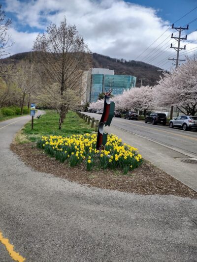Roanoke Greenway (Rivers Edge South) - Roanoke, VA